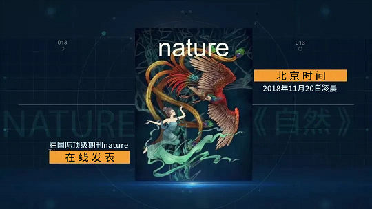 間充質(zhì)干細(xì)胞治療