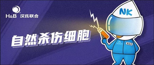 存NK細(xì)胞選漢氏聯(lián)合